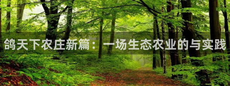 琳琅偏爱娱乐：鸽天下农庄新篇：一场生态农业的与实践