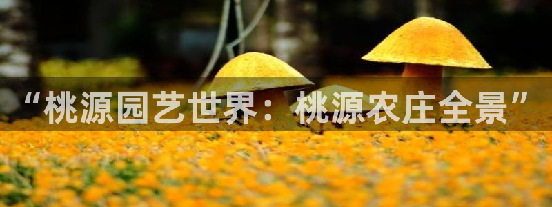 琳琅娱乐APP下载