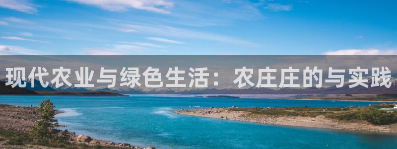 琳琅娱乐机器人