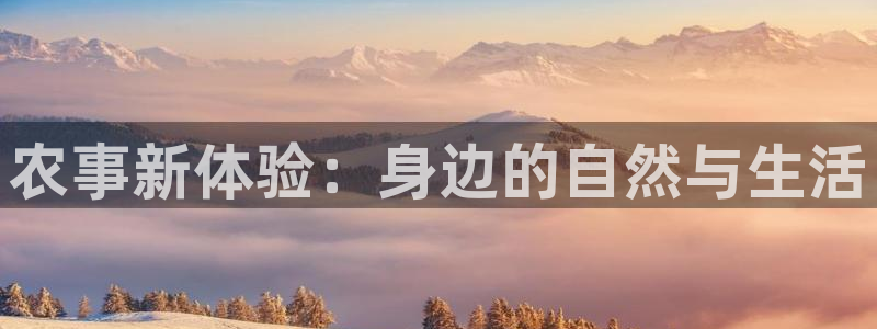 琳琅娱乐600