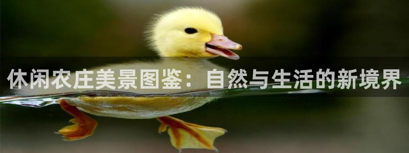 琳琅娱乐招商