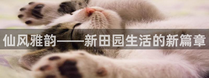 琳琅娱乐社区宅男