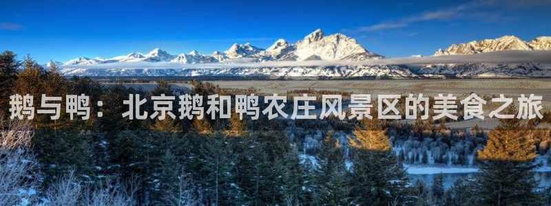 琳琅聊娱乐