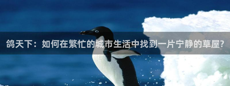 琳琅娱乐信誉33300