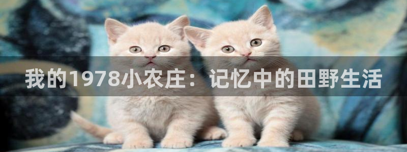 琳琅娱乐信誉33300