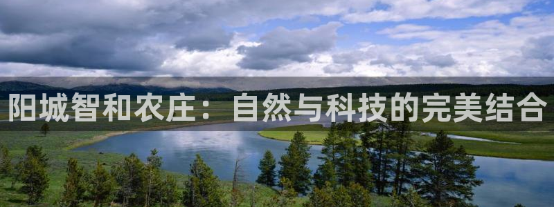 琳琅娱乐挂机