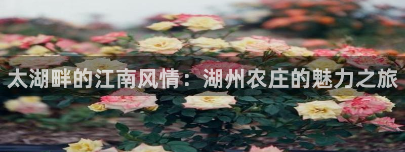 琳琅AV娱乐
