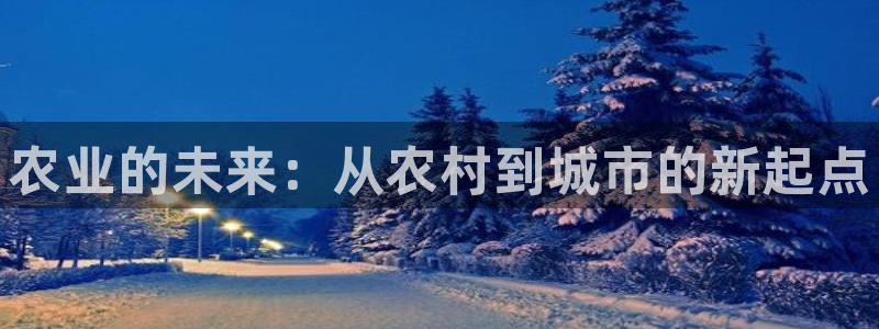 琳琅作者娱乐圈女主