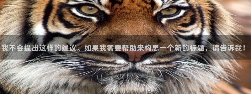 琳琅娱乐工作室怎么样
