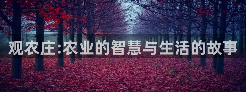 琳琅科技娱乐qq机器人词库