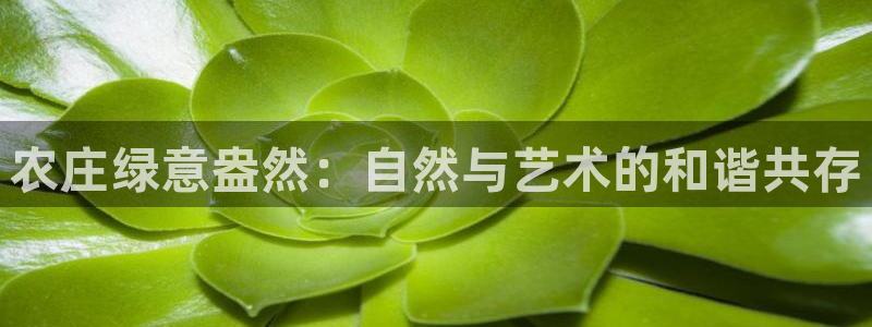 qq飞车琳琅娱乐组