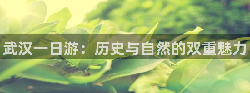 琳琅娱乐
