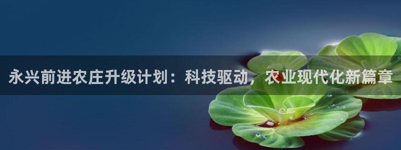琳琅娱乐a