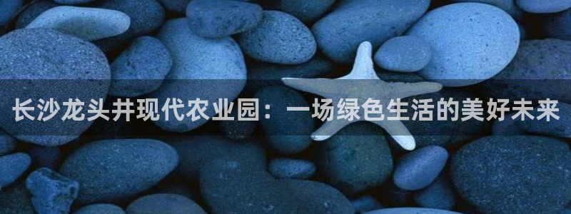 琳琅娱乐机器人