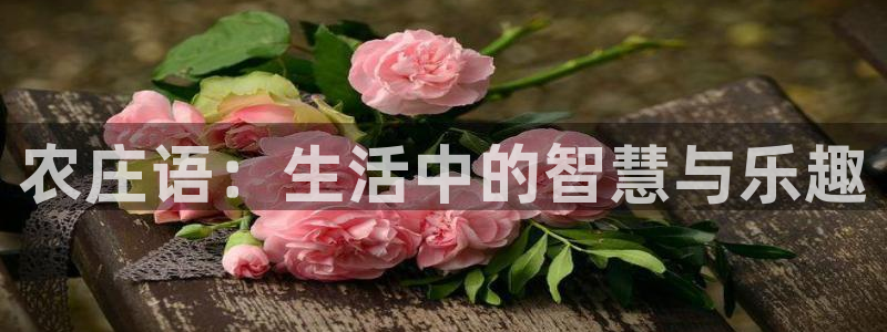 琳琅满目的娱乐设施