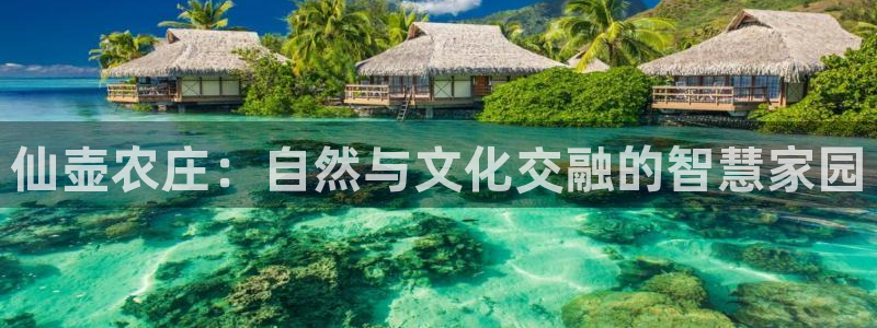 祖龙娱乐官网爱在琳琅