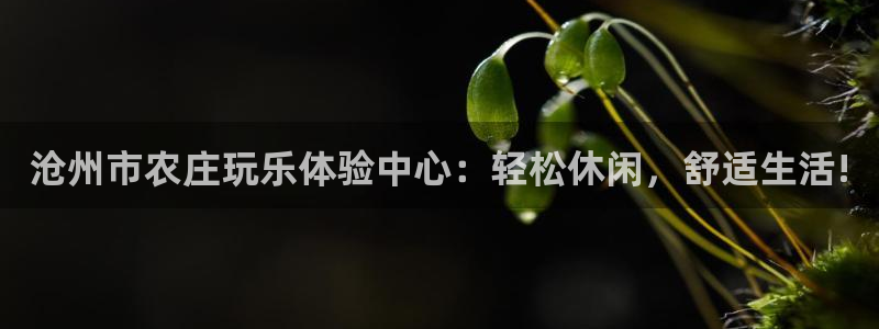 琳琅娱乐注册资金多少