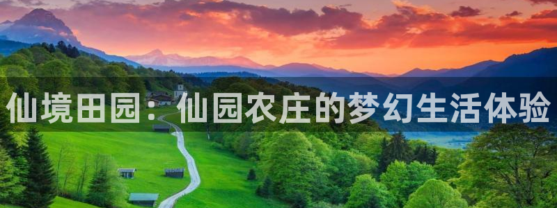 琳琅作者娱乐圈女主
