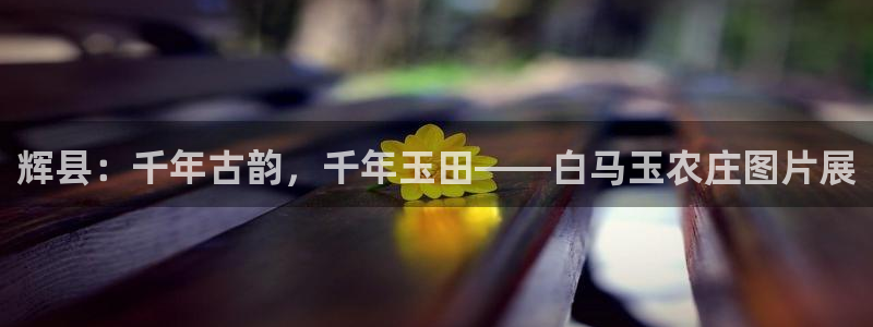 琳琅娱乐周7O777