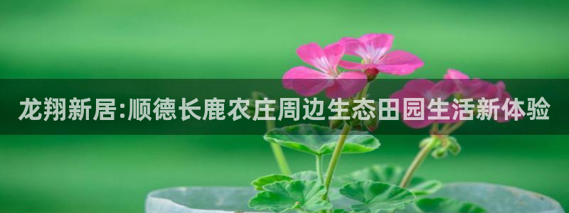 琳琅科技娱乐qq机器人词库