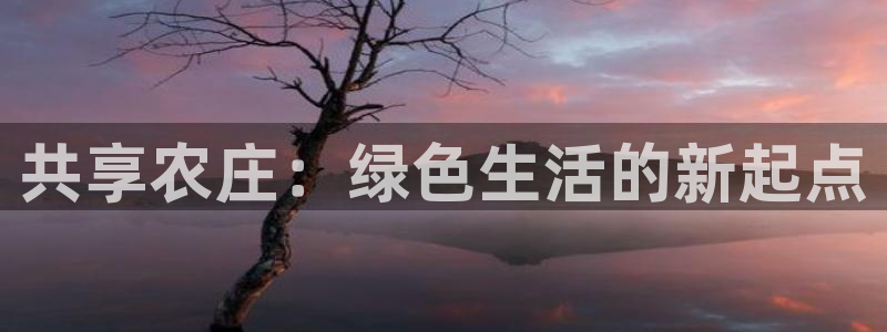琳琅娱乐 全麦优质