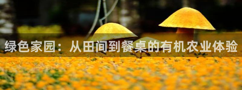 琳琅国际娱乐会所怎么样