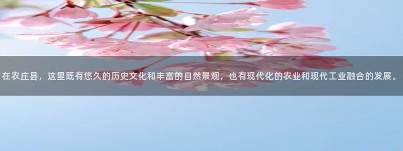 qq飞车琳琅娱乐组