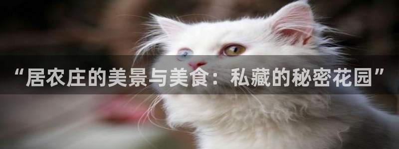 qq琳琅科技娱乐机器人