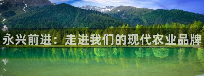 琳琅娱乐信誉33300