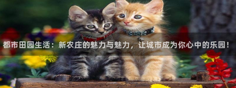 琳琅娱乐工作室地址查询