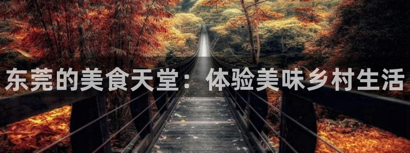 琳琅娱乐m