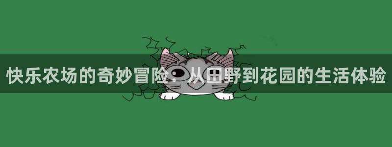 琳琅满目的娱乐设施