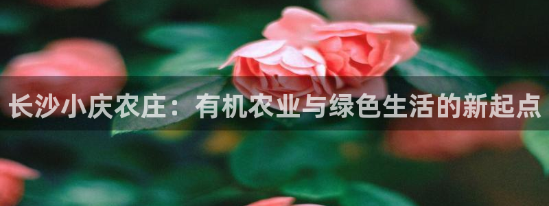 琳琅科技娱乐机器人教程