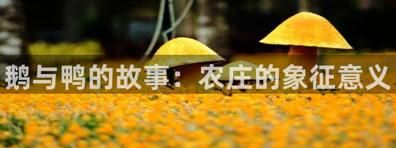 琳琅社区娱乐视频