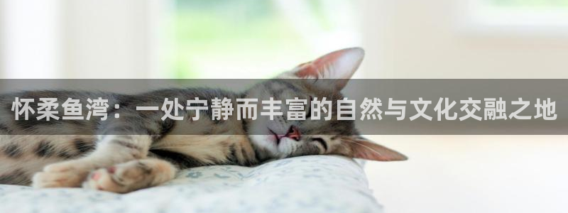 琳琅娱乐百科