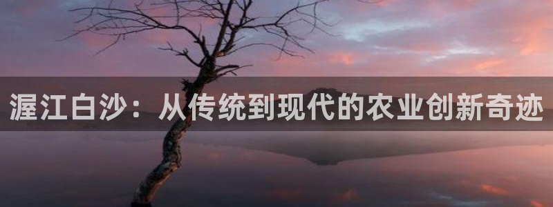 琳琅AV娱乐