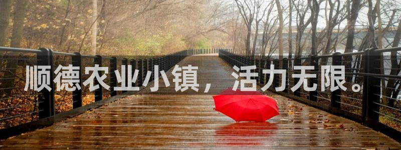 琳琅娱乐工作室地址