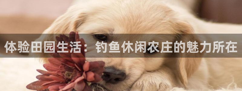 琳琅科技娱乐机器人下载