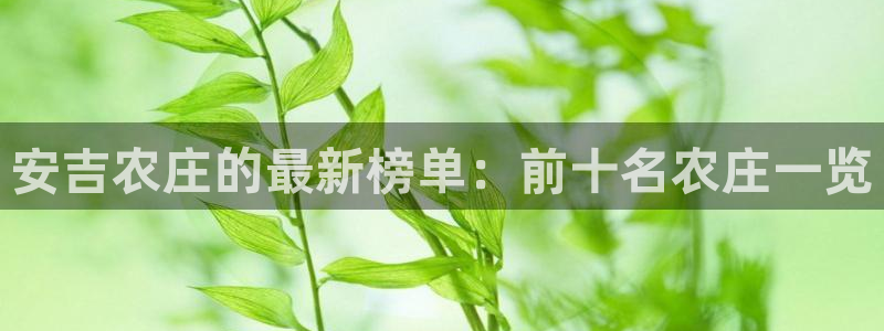 琳琅娱乐网