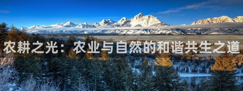 琳琅娱乐代理