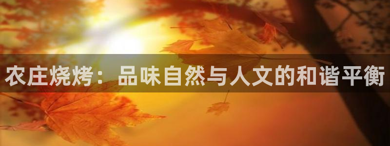 琳琅娱乐组飞车