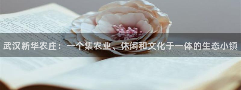 琳琅娱乐工作室怎么样