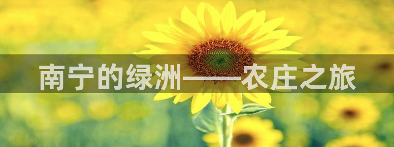 琳琅娱乐黑钱