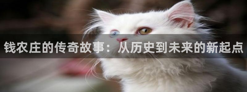 琳琅娱乐注册登录不了