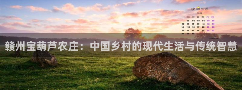 琳琅满目的娱乐设施