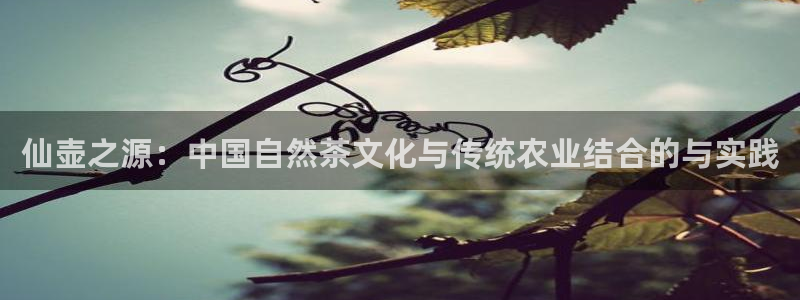 琳琅娱乐放心33300