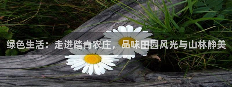 琳琅娱乐社区