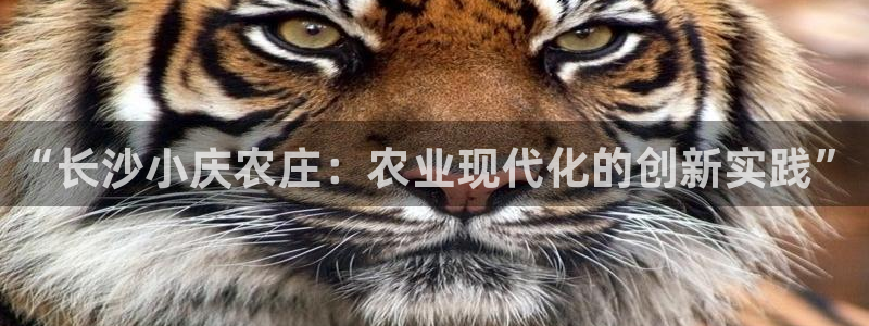 琳琅娱乐平台帐7O777