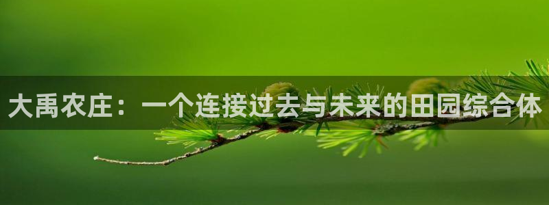 琳琅谈娱乐