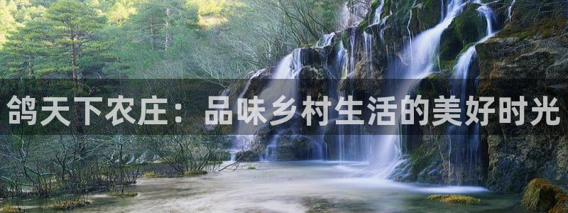 琳琅科技娱乐机器人